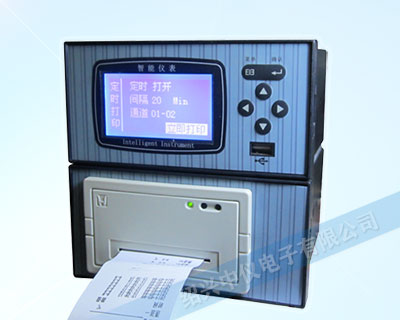 ZYW203RP帶打印無紙記錄儀